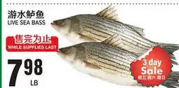 Great Wall Supermarket LIVE SEA BASS offer