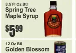 Almonte's Food Dynasty Marketplace Spring Tree Maple Syrup offer