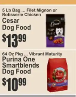 Almonte's Food Dynasty Marketplace Cesar Dog Food offer