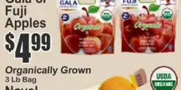 Almonte's Food Dynasty Marketplace Gala Or Fuji Apples offer