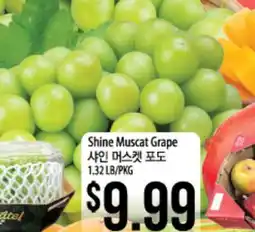 Hmart Shine Muscat Grape offer