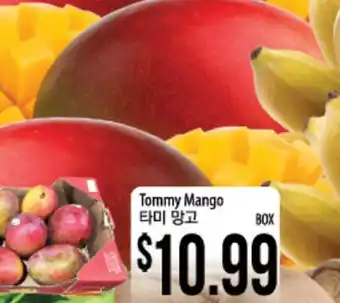 Hmart Tommy Mango offer