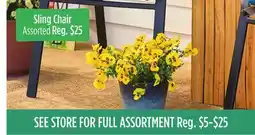 Dollar General Sling Chair offer