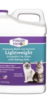 Dollar General Forever Pals Cat Litter offer