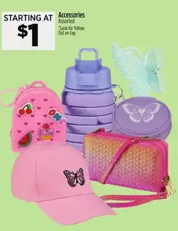 Dollar General Accessories offer