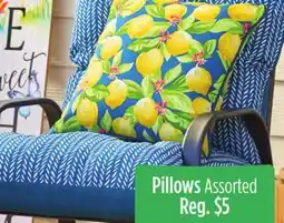 Dollar General Pillows offer