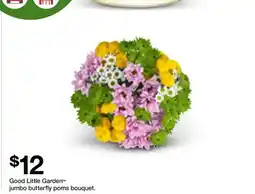 Target Good Little Garden jumbo butterfly poms bouquet offer