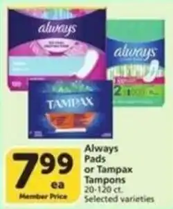 Albertsons Always Pads or Tampax Tampons offer