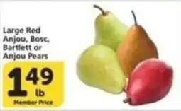 Albertsons Large Red Anjou, Bosc, Bartlett or Anjou Pears offer
