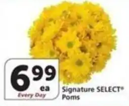 Albertsons Signature select poms offer