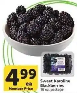 Albertsons Sweet Karoline Blackberries offer