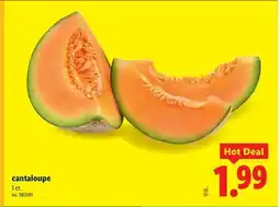 Lidl Cantaloupe offer