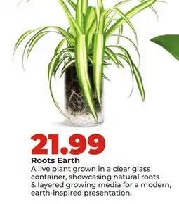 Hy-Vee Roots Earth offer
