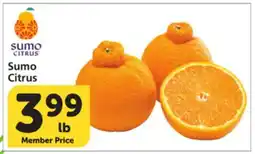 Albertsons Sumo Citrus offer
