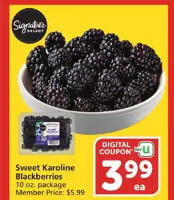 Vons Sweet Karoline Blackberries offer