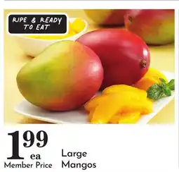 Pavilions Large Mangos offer