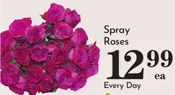 Pavilions Spray Roses offer