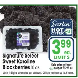 Jewel-Osco Signature Select Sweet Karoline Blackberries offer
