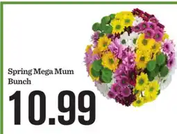 Mariano's Spring Mega Mum offer