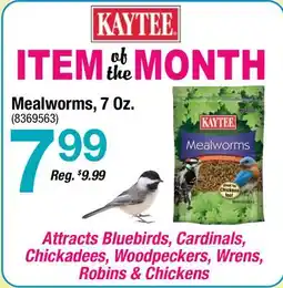 Ace Hardware Mealworms, 7 Oz offer
