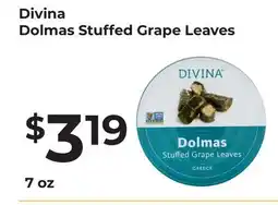 Lifethyme Divina Dolmas Stuffed Grape Leaves offer