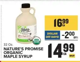 Food Lion Nature's Promise Organic Maple Syrup offer