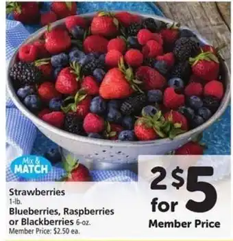 Strawberries, Blueberries, Raspberries or Blackberries