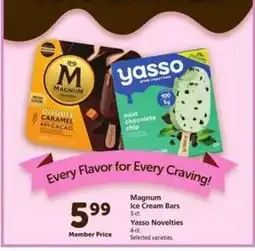 Safeway Magnum Ice Cream Bars / Yasso Novelties offer