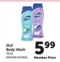 Safeway Dial Body Wash offer