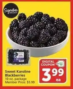 Albertsons Sweet Karoline Blackberries offer
