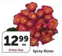 Albertsons Spray Roses offer