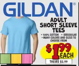Ollie's GILDAN ADULT SHORT SLEEVE TEES offer