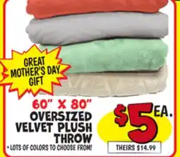 Ollie's 60 X 80 OVERSIZED VELVET PLUSH THROW offer