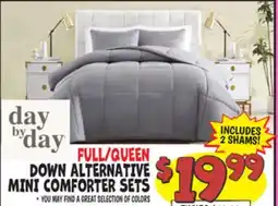 Ollie's FULL/QUEEN DOWN ALTERNATIVE MINI COMFORTER SETS offer