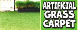 Ollie's 5'X7' ARTIFICIAL GRASS CARPET offer