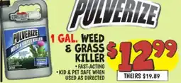 Ollie's 1 GAL. WEED & GRASS KILLER offer