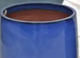 Vallarta Supermarkets Ceramic Flower Planter offer