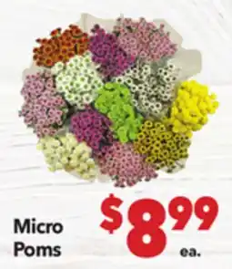 Vallarta Supermarkets Micro Poms offer