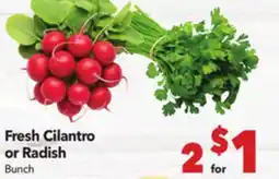 Vallarta Supermarkets Fresh Cilantro or Radish offer