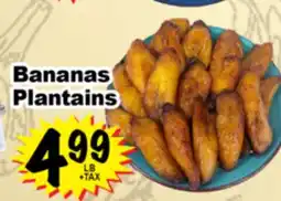 Superior Grocers Bananas Plantains offer