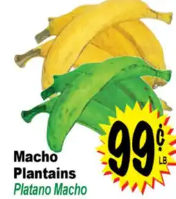 Superior Grocers Macho Plantains offer