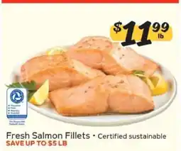 Winn Dixie Fresh Salmon Fillets offer