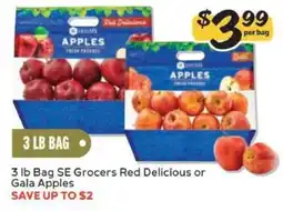 Winn Dixie 3 lb Bag SE Grocers Red Delicious or Gala Apples offer