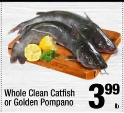 Super King Markets Whole Clean Catfish or Golden Pompano offer