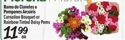 El Super Carnation Bouquet or Rainbow Tinted Daisy Poms offer