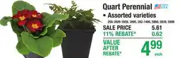 Menards Quart Perennial offer