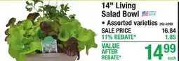 Menards 14 Living Salad Bowl offer