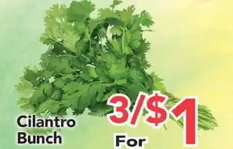 Eurofresh Market Cilantro Bunch offer