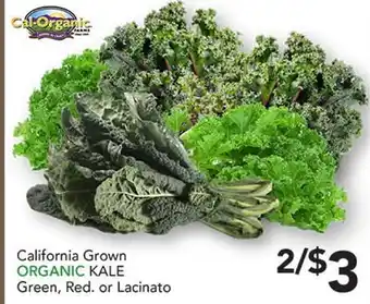 Pete's Fresh Market California Grown ORGANIC KALE offer