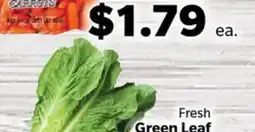 Living Fresh Market Fresh Green Leaf offer
